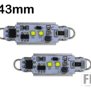 C5W LED電球 CANBUS OBC 12V フェストゥーン 31mm 36mm 39mm 41mm 44mm C10W LED 自動車内装ドームランプ 読書灯 カーゴエリア ホワイト - 43MM-44MM