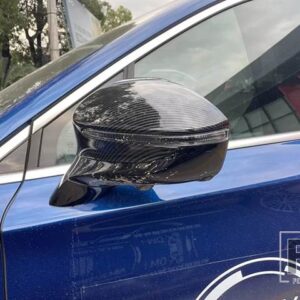 唐 II EV タン EV 2022 2023 カーアクセサリードアサイドミラーカバートリムリアビューキャップオーバーレイモールドガーニッシュ - carbon fiber style